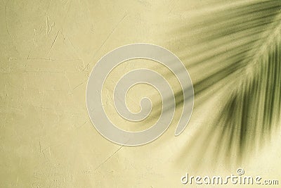 Shadow from palm leaves on beige grunge plaster wall. Copy space, abstract tropical background. Stock Photo