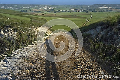 Shadow pilgrim, rural landscape, Camino Frances Stock Photo