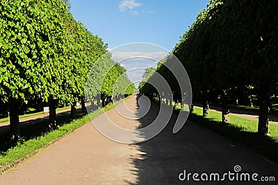 Shadow and Sun. Polarity and completion Stock Photo