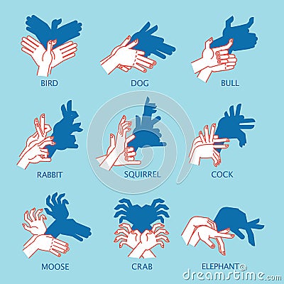 Shadow Theater. Hands gesture like flying bird. Vector illustration of Shadow Hand Puppet. Vector Illustration