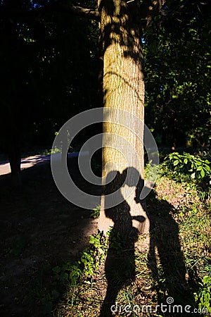 A shadow on tree beautiful couple kissing Stock Photo