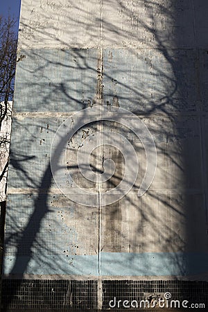 Shadow of tree on building. Sun shadow on wall. Silhouette of large tree Stock Photo