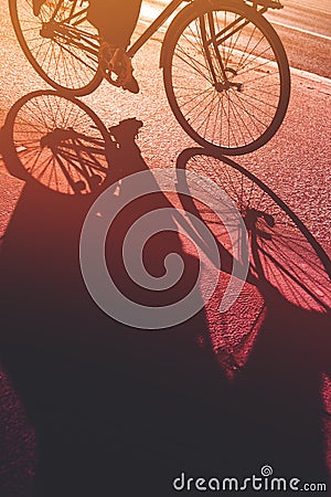 Shadow of unrecognizable person riding bicycle Stock Photo