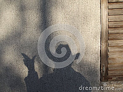 Shadow on a wall that looks like a cowboy Stock Photo