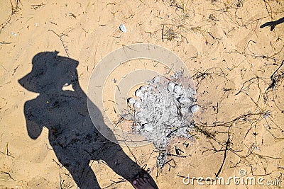 The shadow of a woman near an extinct fire with baked potatoes Stock Photo