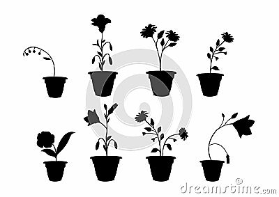 Shadows flower pots Vector Illustration