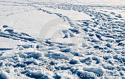 Shadows in the footsteps Stock Photo