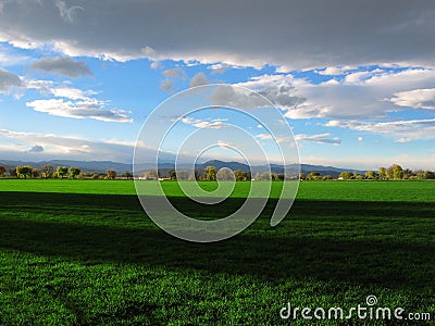 Shadows in the meadow Stock Photo