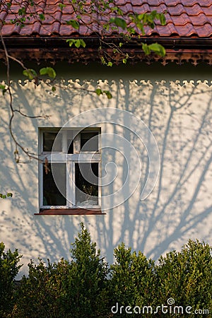 Shadows of spring tree branches on a white wall of an old polish house. Hose facade with window colored in blue. Stock Photo