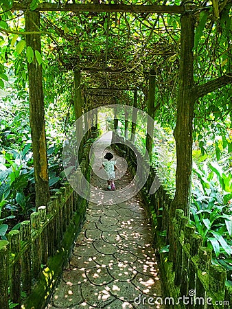 Shady green pathway & a child running through it Editorial Stock Photo