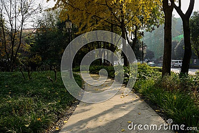 Shady path along road in city on sunny winter day Editorial Stock Photo