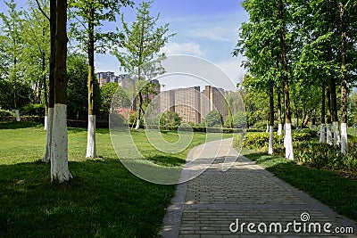 Shady path before buildings in sunny summer morning Stock Photo