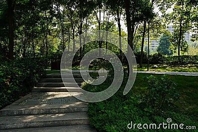 Shady roadside stairway in sunny summer morning Stock Photo