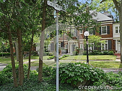 Shady sidewalk on a tree-lined street Stock Photo