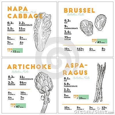 Shaggy mane mushroom, hand draw vector Vector Illustration