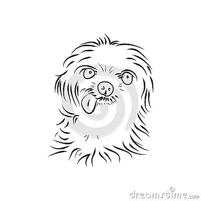 Shaggy puppy on white background Vector Illustration