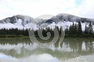 Shakes slough reflection Stock Photo