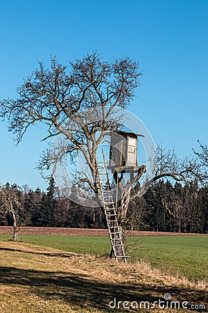 Shaky raised hide up on top of a high tree Stock Photo