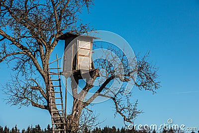 Shaky raised hide up on top of a high tree Stock Photo