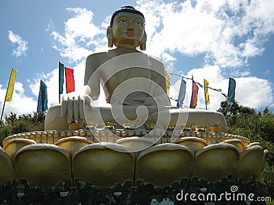 The Shakyamuni Buddha Statue of Karma Choeling monastery closeup Stock Photo