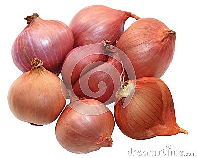 Shallot Stock Photo