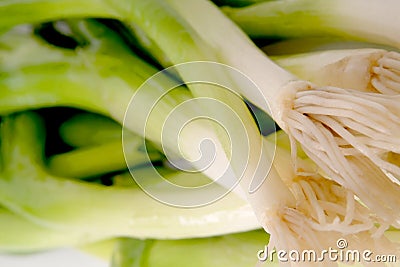 Shallot Stock Photo