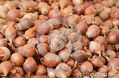 Shallot background Stock Photo