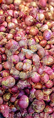 Shallots are ready to be marketed Stock Photo