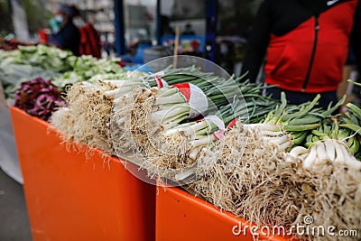 Shallow depth of field selective focus image with spring onions on sale in a vegetables street stall Stock Photo