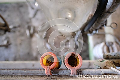 Shallow focus of a pair of rubber milking teats used for connecting to a cow`s udder prior to milking. Stock Photo