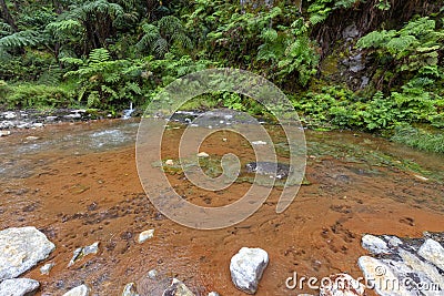 Shallow Hot Spring Pool Stock Photo
