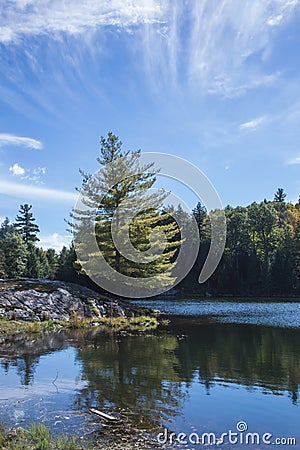 Shallow lake surrounded by evergreen firs Stock Photo