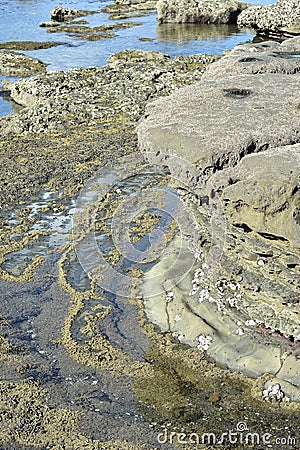 Shallow rock pool exposed during low tide Stock Photo
