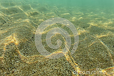 Shallow sea bottom, sand Stock Photo
