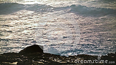 Shallow waves splashing rocks in morning closeup. Shimmering water reflecting Stock Photo