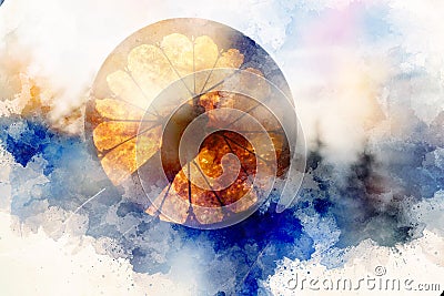 Shamanic drum in nature and painting effect. Stock Photo
