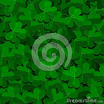 Shamrock field background with dew drops. Vector Illustration
