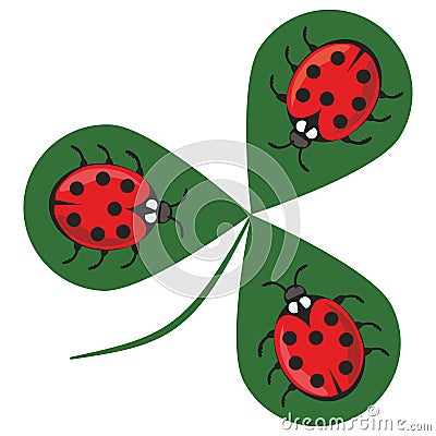 Shamrock whit three ladybugs. Three little red beetles sitting on a green clover leaf. Beautiful cheerful illustration Vector Illustration