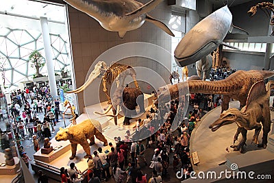 Animal Photography Natural History Museum Animal Photography Natural History Museum