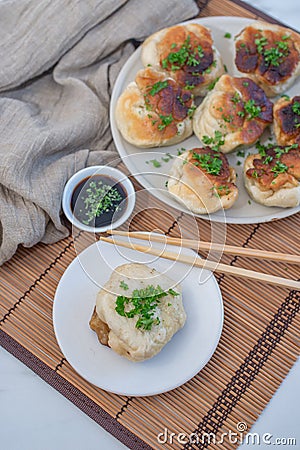 Shanghai pan fried pork dumpling with wild garlic Stock Photo