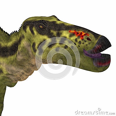 Shantungosaurus Dinosaur Head Stock Photo