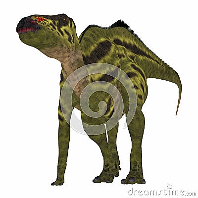 Shantungosaurus Dinosaur on White Stock Photo