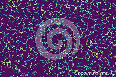 Shape of bacterial cell: cocci, bacilli, spirilla bacteria Stock Photo