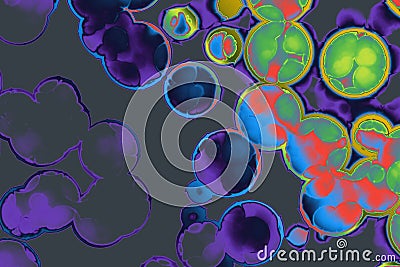 Shape of bacterial cell: cocci, bacilli, spirilla bacteria Stock Photo