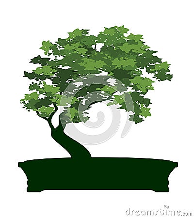 Shape of Tree with Leaves inn Pot. Vector outline Illustration of Bonsai Vector Illustration