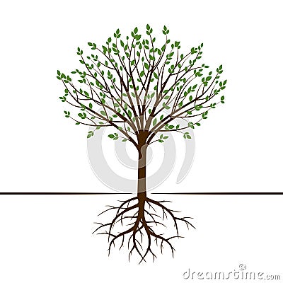 Shape of Tree and Roots. Vector Illustration. Vector Illustration