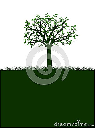 Shape of Tree. Vector outline Illustration. Plant in Garden. Vector Illustration