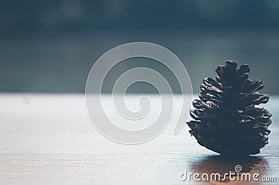 Shaped back, dried pine cones Stock Photo