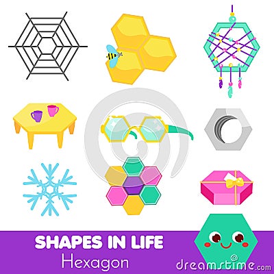 Shapes in life. Hexagon. Learning cards for kids. Educational infographic for children and toddlers. Study geometric shapes Vector Illustration