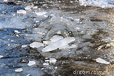 Shards of ice on a frozen ground Stock Photo